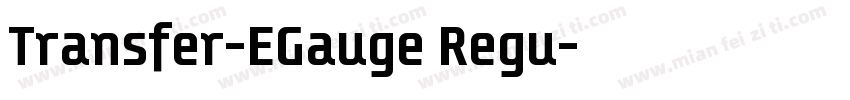 Transfer-EGauge Regu字体转换